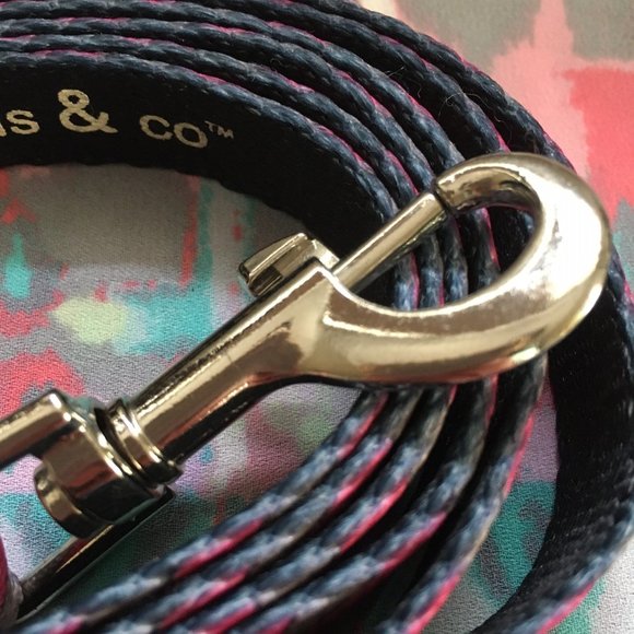 NWOT Furry Friends & Co. Small Leash and Collar - Picture 5 of 6